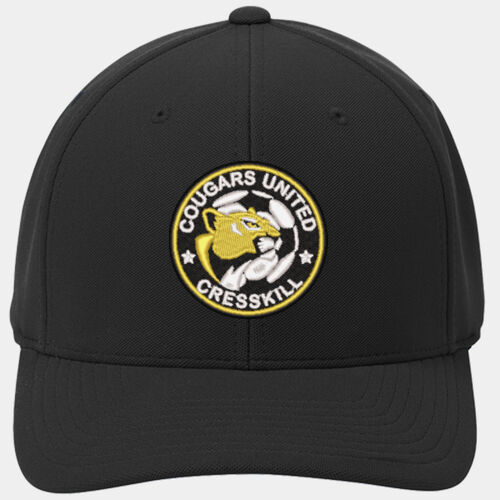 Flexfit 110 ® & Dry Mini Pique Embroidered Cap Thumbnail